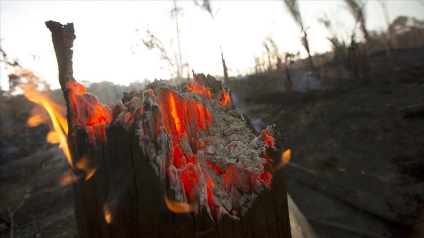 Brazil Announces South American Meeting On Amazon Fires