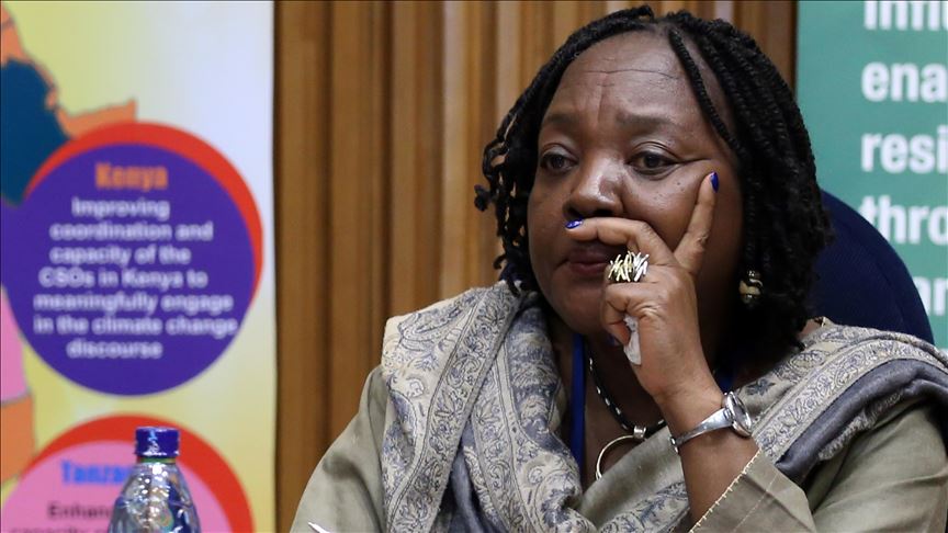 African climate experts meet ahead of UN global summit