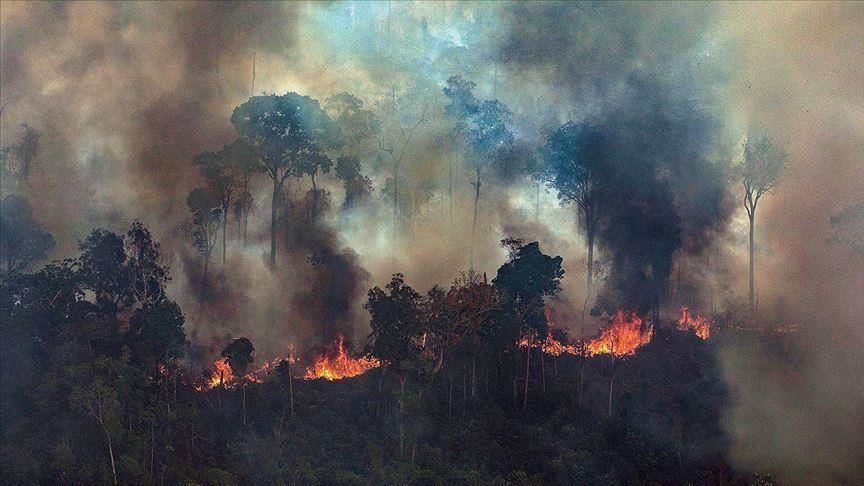 الصباغ فكر تصيب  البرازيل تتراجع عن رفض مساعدات إخماد حرائق الأمازون