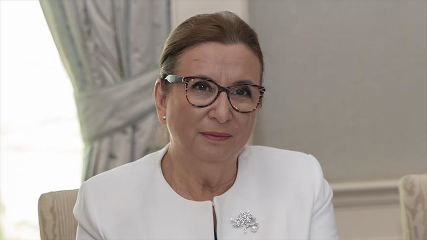 Turkey expects more Czech investments: Trade minister