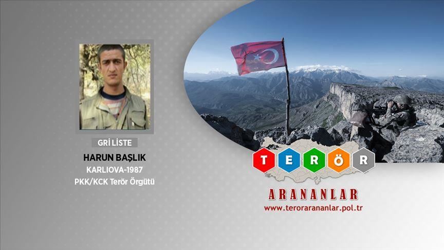 Wanted PKK terrorist neutralized in eastern Turkey