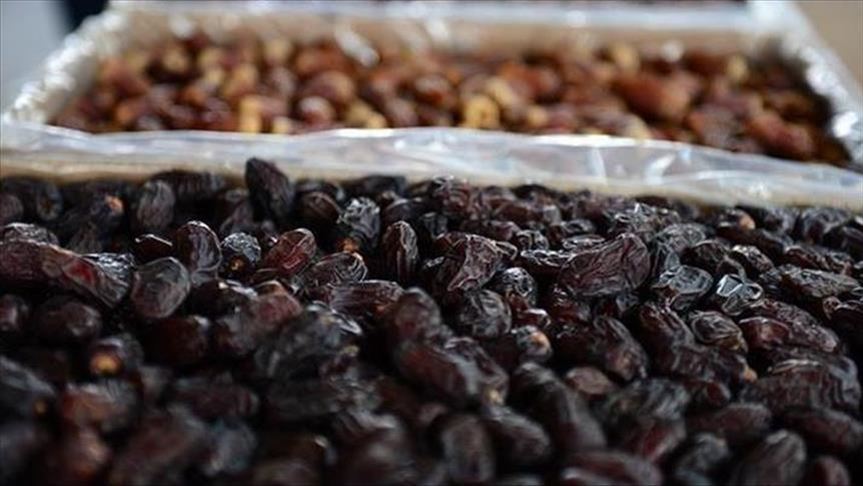 العراق يوقف استيراد التمور لتسويق منتجه المحلي