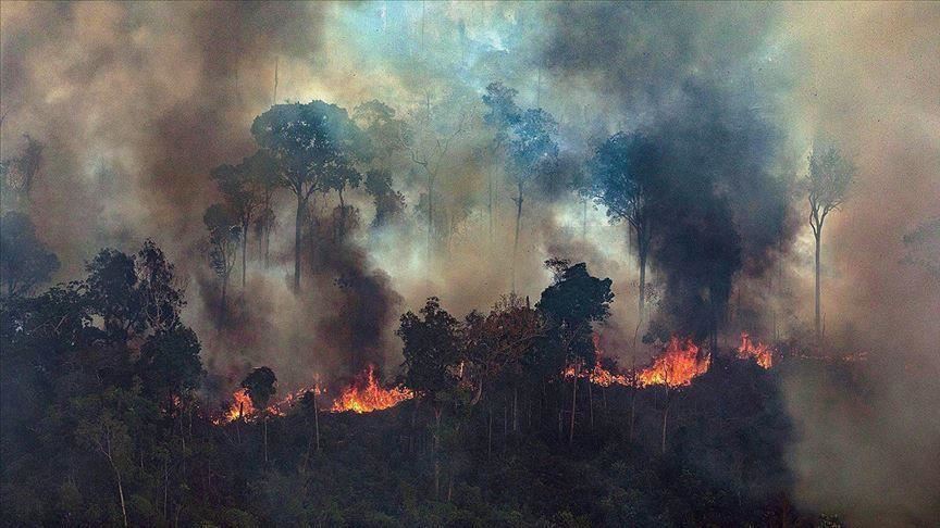 Amazon Rainforest Fires Cannot Be Defined As Natural Amazon Rainforest Fires Cannot Be Defined As Natural