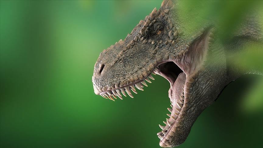 Holes on T. rex sculls functioned as air-conditioning Holes on T. rex sculls functioned as air-conditioning