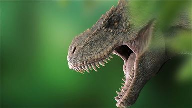 Holes on T. rex sculls functioned as air-conditioning