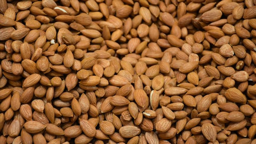 Kayisi Cekirdegi Fiyatlari Artti