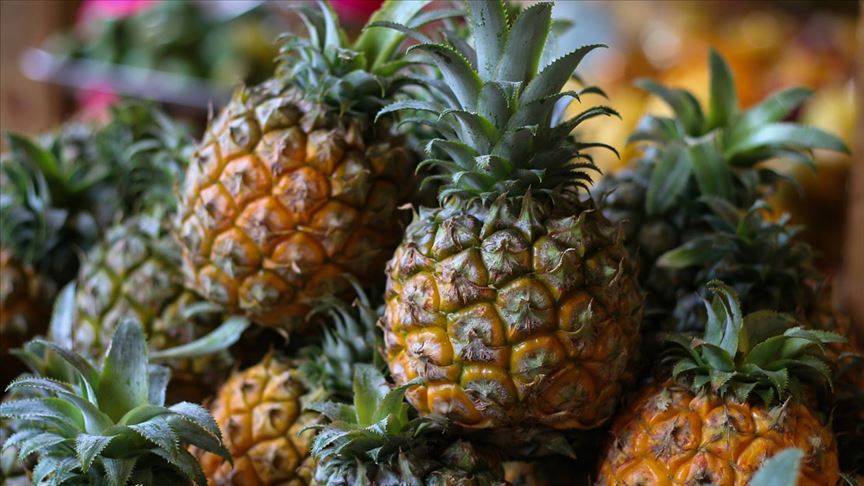 TİKA'dan Gine'de ananas tarımına destek