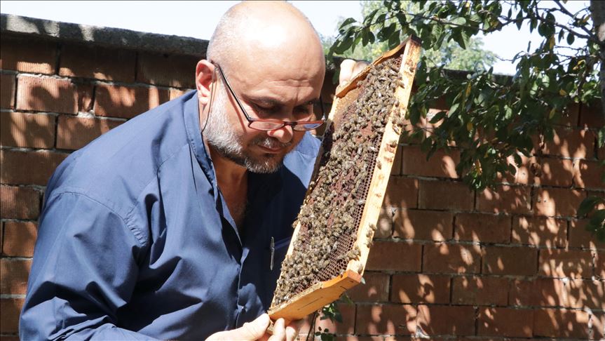 'Sokmayan arılar'la yurt dışına açıldı