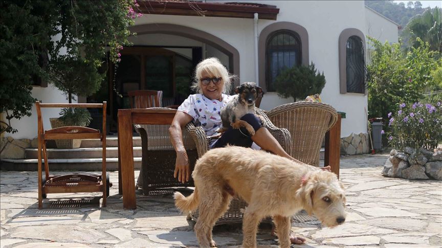 Ljubav prema životinjama: Vrata svoje luksuzne vile s bazenom otvorila za 85 pasa