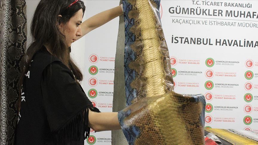 Li Balafirgeha Stenbolê 355 mêtro çermê maran hat girtin