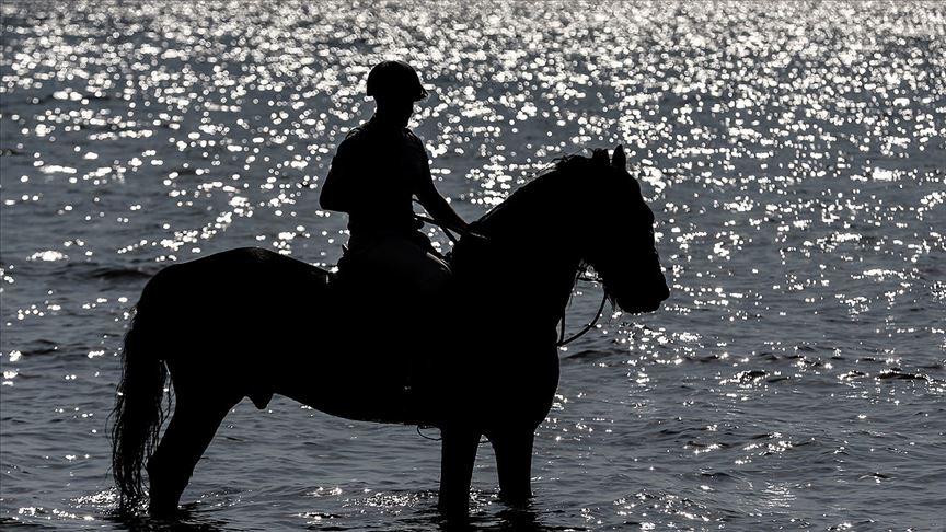 Gemlik atı TSK'nin 'heybetli yüzü' oldu