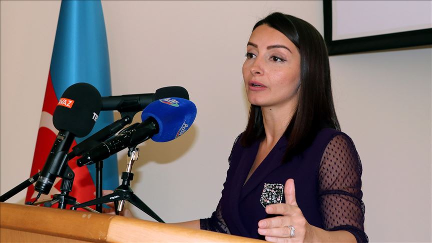 Azerbaijan voices foreign policy priorities in Ankara