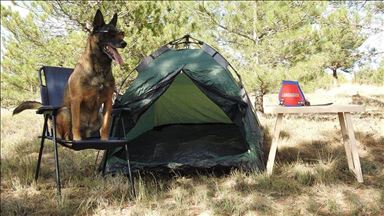 Turkey: Sniffer dog retires after 10 years on duty
