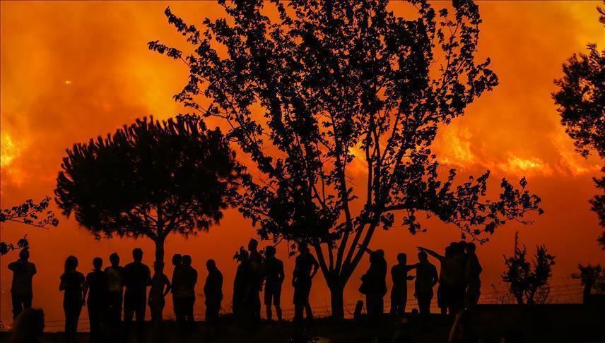 Kebakaran hutan di Gunung Merbabu, lima jalur pendakian ditutup sementara