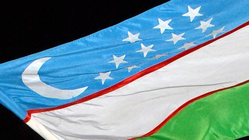 Uzbekistan to become full member of Turkic Council