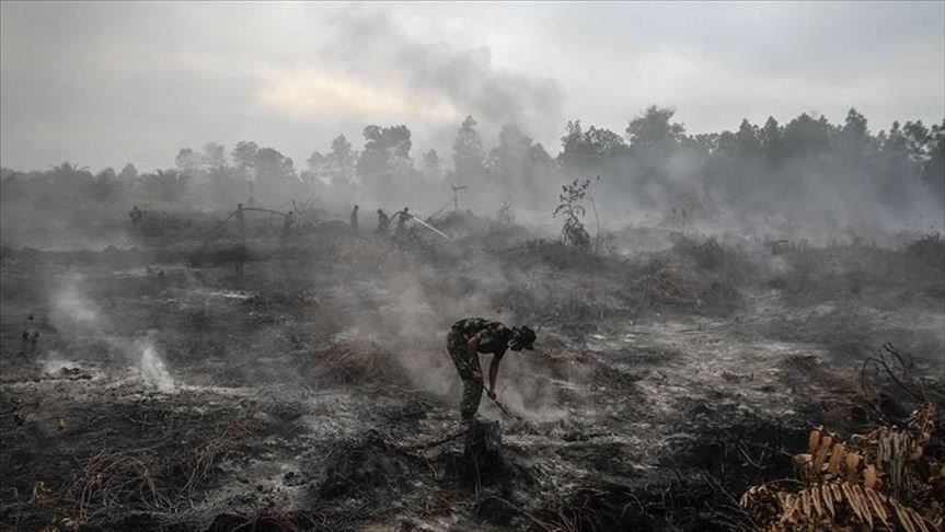 Indonesia: Forest fires cover region in haze