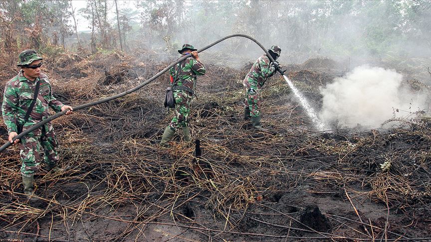 Endonezya'daki orman yangınlarıyla ilgili 185 kişi gözaltına alındı