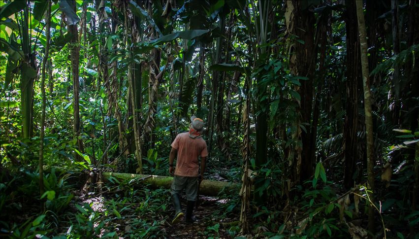 Brasil solo ha juzgado un 4,6% de los asesinatos de defensores de la Amazonía en la última década