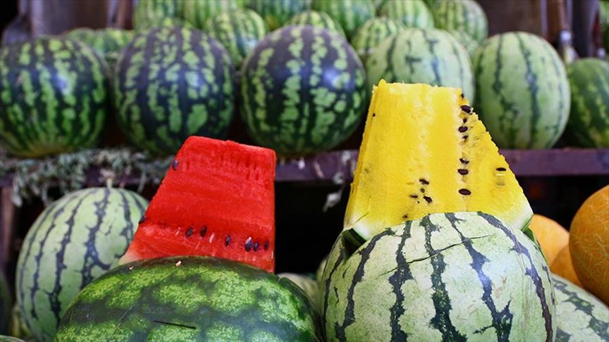 Turkey: Yellow watermelon special fruit of ancient seed