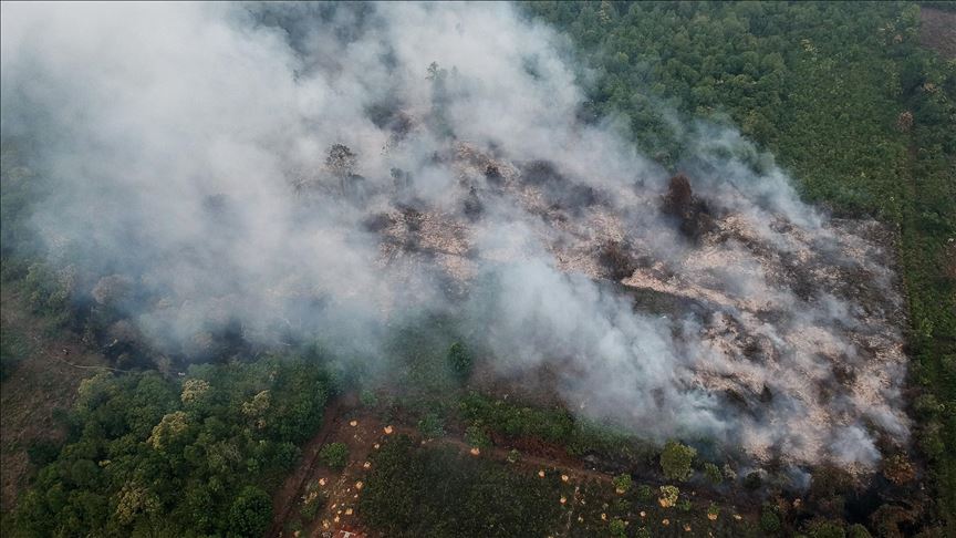 Public Awareness And Support For Environmental Protection A Focus On Air Pollution In Peninsular Malaysia