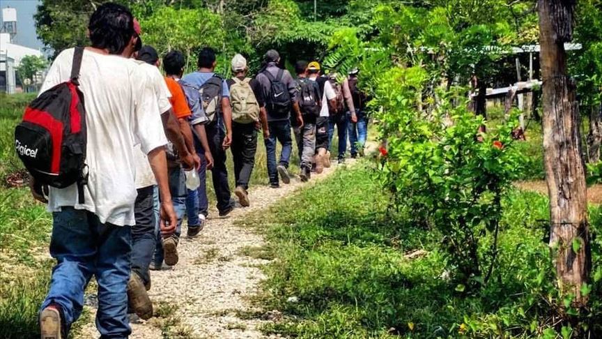 Número de migrantes en el mundo ascendió a 272 millones