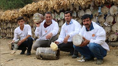 Herekol Dağı'nda 'huzurlu' bal üretimi