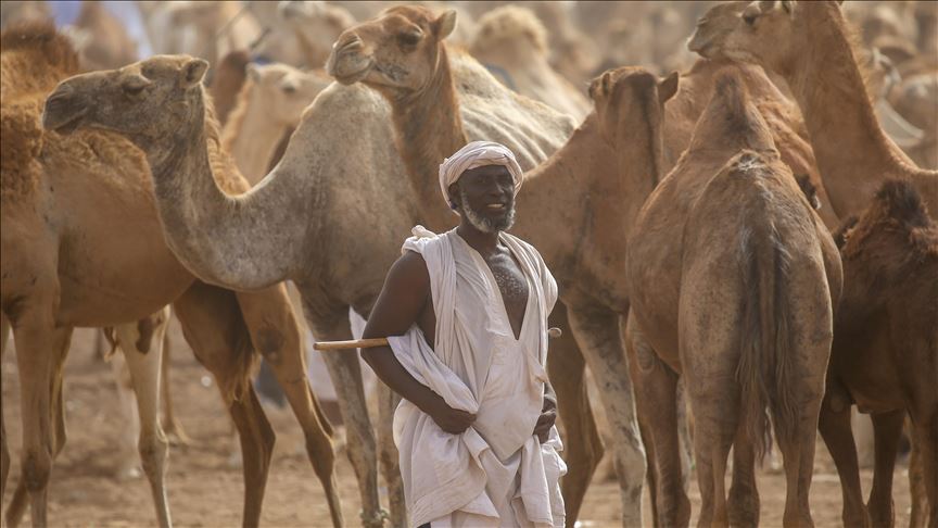 Turki distribusikan daging kurban ke 149 negara