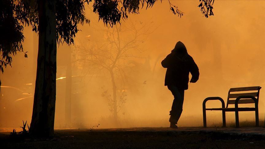Forest fire in Istanbul's district terror-related: Min.