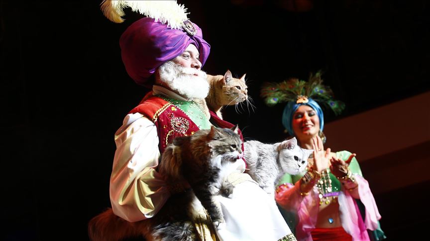 Teatri i maceve në Moskë tërheq publikun për tre dekada