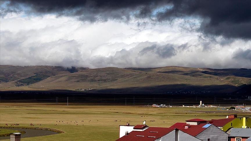 Li 4 bajarên Rojhilatê tavî teyrok tê payîn