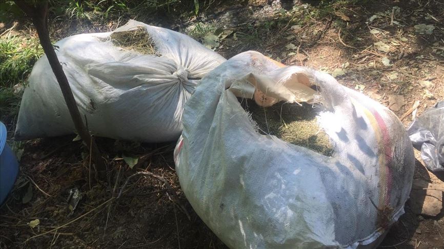 Turkey: 550+ kg marijuana seized from terrorist PKK
