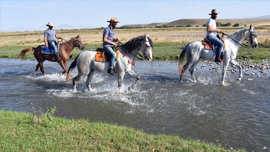 لتقديم مردود كبير.. عشاق رياضة "جيريت" التركية يعتنون بخيولهم (تقرير)