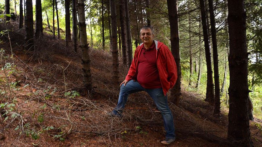 Psiholog Marko Romić zasadio šumu koja je postala oaza za stanište divljih životinja