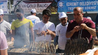Li Wanê di mihrîcanê da tonek masiyên kefalê hatin belavkirin