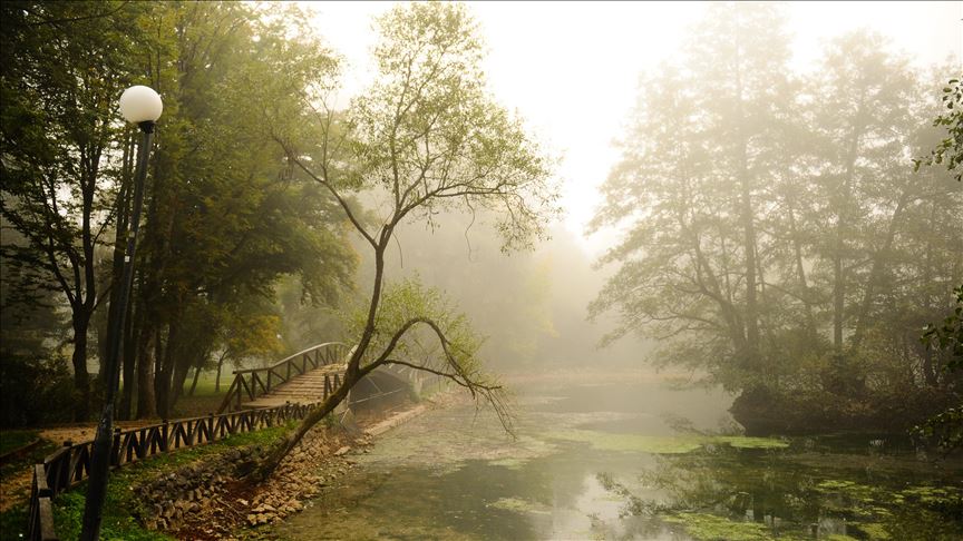 الخريف يطل برونقه على غابات البوسنة والهرسك (صور)