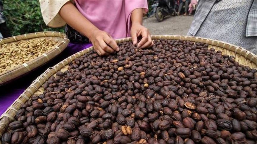 Indonesia pimpin organisasi kopi dunia hadapi krisis harga kopi 