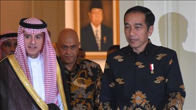 Jokowi ingin batik menjadi duta budaya Indonesia