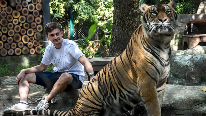 Tiger Kingdom na Tajlandu: Turisti se u kavezima fotografišu s tigrovima