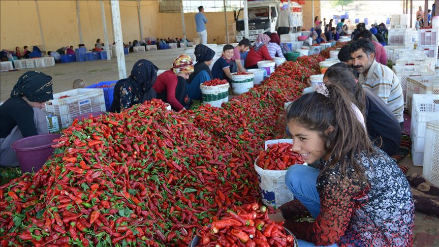 Tirkiyeyê îsota hûrkirî îxracî 91 welatan kir