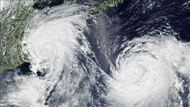 S Korea faces typhoon amid African swine fever outbreak