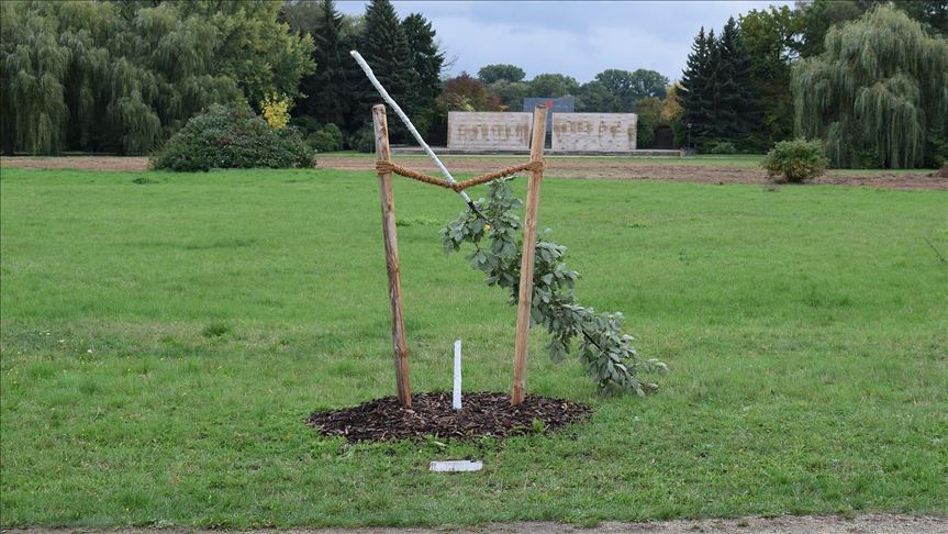 Neo-Nazis destroy memorial tree for NSU victims