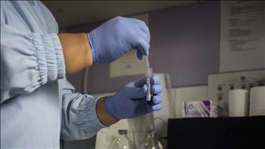 Pesticides likely cause of Havana Syndrome of diplomats