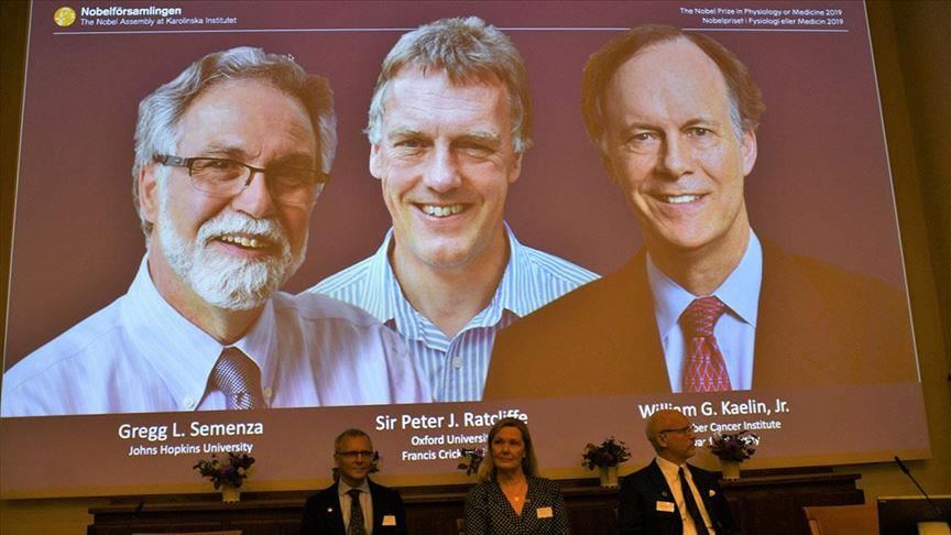 Le Nobel de Médecine 2019 attribué à trois scientifiques