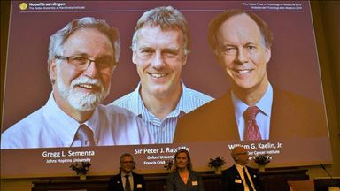3 scholars win Nobel prize in medicine