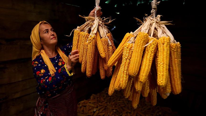 Karadenizli kadınlar kışa hazır