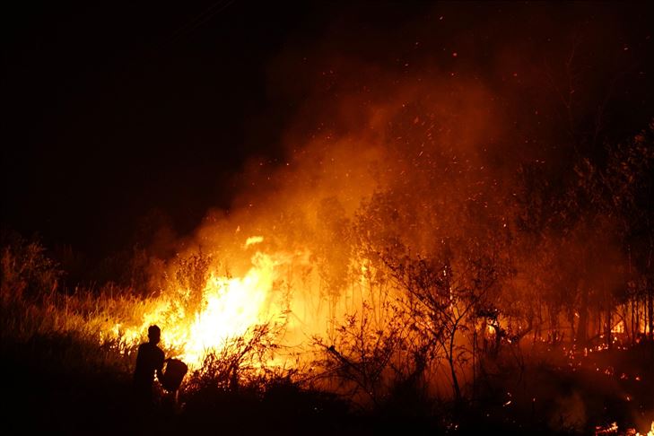 Kebakaran hancurkan 30 rumah di Australia