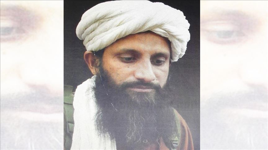 На юге Афганистана уничтожен один из главарей «Аль-Каиды» 