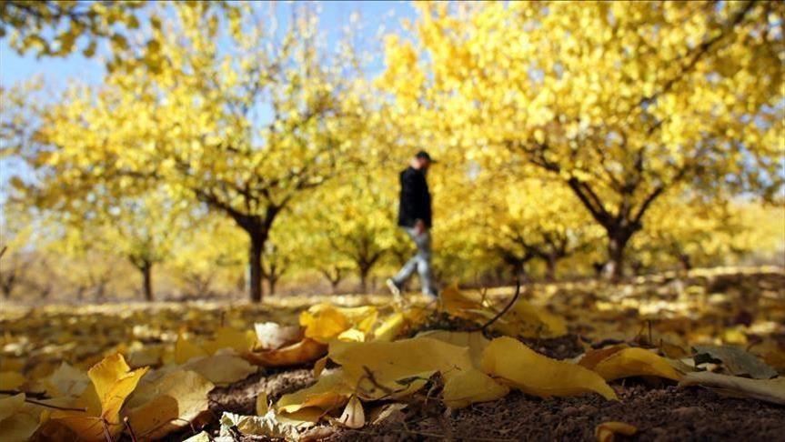U BiH danas oblačno, od sutra sunčano s temperaturom do 27 stepeni