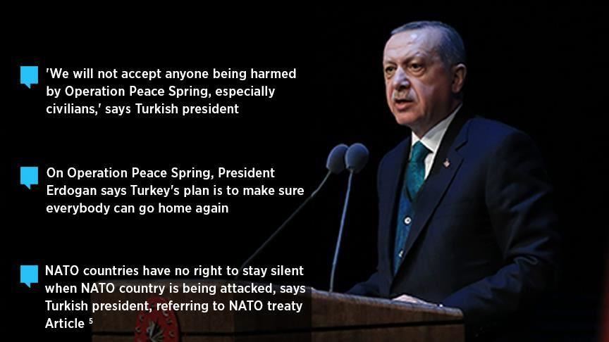 Erdogan: Target kami organisasi teroris, bukan saudara Kurdi 