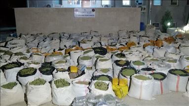 Turkey: Over 5,000 kg marijuana seized from PKK